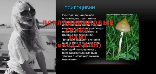 круглые Магас