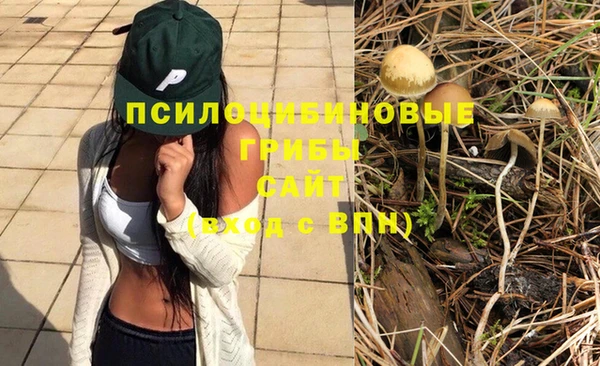 гашик Магадан